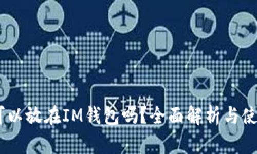 USDT可以放在IM钱包吗?全面解析与使用指南
