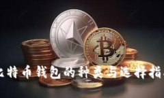 比特币钱包的种类与选择指南