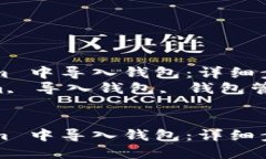 如何在 Token.im 中导入钱包:详细步骤指南 关键