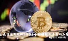 土耳其是否无法使用USDT钱包?全面解析土耳其的