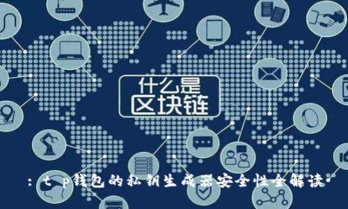 : t p钱包的私钥生成器安全性全解读