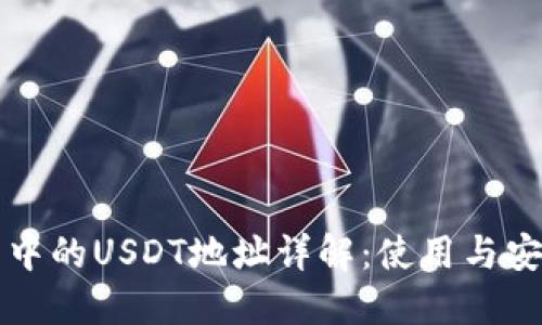 tP钱包中的USDT地址详解:使用与安全指南