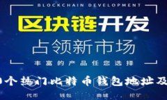如何查询10个热门比特币钱包地址及其使用方法