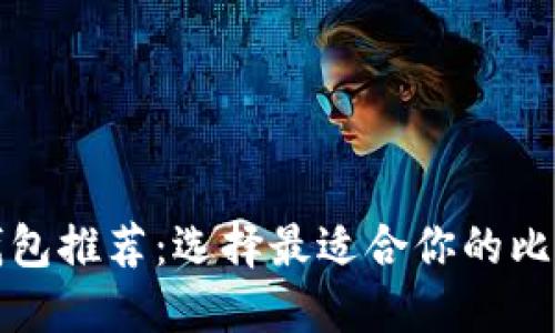 比特币钱包推荐：选择最适合你的比特币钱包