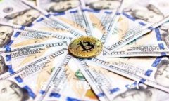 如何查看TP钱包的交易数据？