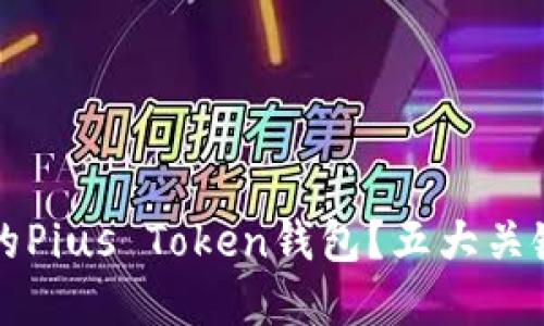 如何选择适合自己的Pius Token钱包？五大关键因素助你轻松决策