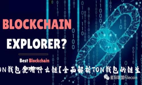 TON钱包使用什么链？全面解析TON钱包的链生态