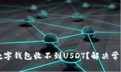 为什么我的数字钱包收不到USDT？解决常见问题的