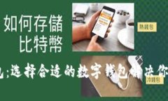 BK与TP钱包：选择合适的数字钱包解决你的交易痛