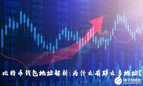 比特币钱包地址解析：为什么有那么多地址？