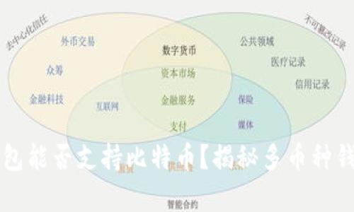 以太坊钱包能否支持比特币？揭秘多币种钱包的真相