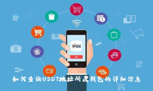 如何查询USDT地址所属钱包的详细信息