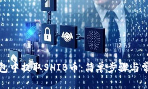如何从TP钱包中提取SHIB币：简单步骤与常见问题解答