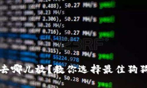 狗狗币去哪儿放？教你选择最佳狗狗币钱包