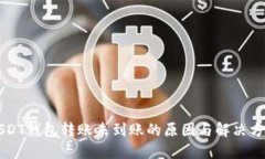 USDT钱包转账未到账的原因与解决方法
