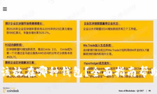 USDT应该放在哪种钱包？全面指南帮助你选择