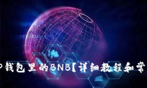 怎么找到TP钱包里的BNB？详细教程和常见问题解答