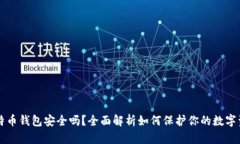 比特币钱包安全吗？全面解析如何保护你的数字