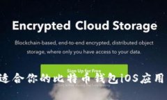 如何选择适合你的比特币钱包iOS应用：全面指南