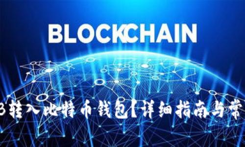 如何将SHIB转入比特币钱包？详细指南与常见问题解答