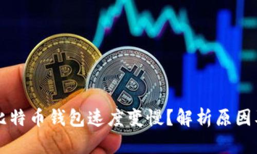 为何你的比特币钱包速度变慢?解析原因及解决办法