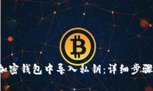 如何在LTC加密钱包中导入私钥：详细步骤与注意事项