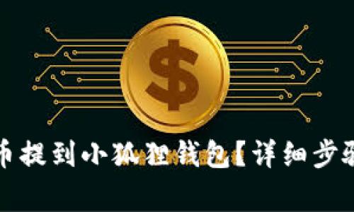 如何将狗狗币提到小狐狸钱包？详细步骤与注意事项