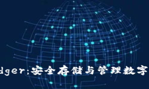 比特币钱包 Ledger：安全存储与管理数字资产的最佳选择