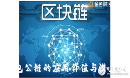 TP钱包公链的应用价值与潜力分析