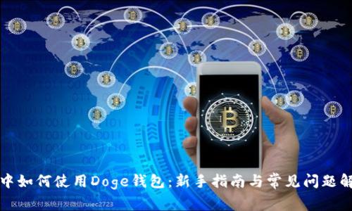 TP中如何使用Doge钱包：新手指南与常见问题解答