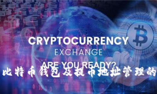 全面解析比特币钱包及提币地址管理的最佳实践