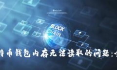 解决比特币钱包内存无法读取的问题：全面指南